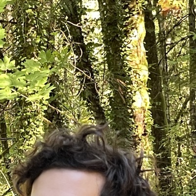 nim