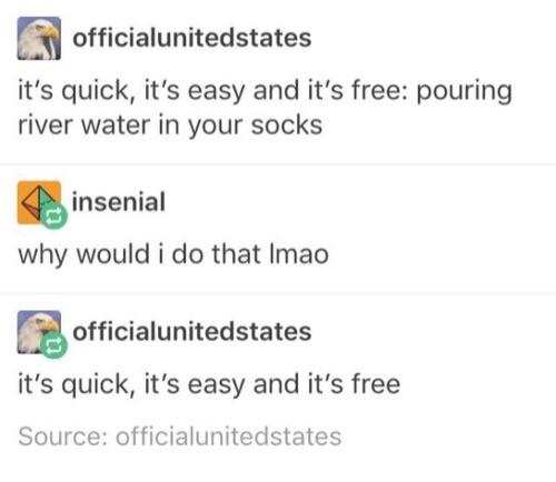 Tumblr screenshot. officialunitedstates says: "it's quick, it's easy and it's free: pouring river water in your socks." insenial replies: "why would i do that Imao." officialunitedstates replies: "it's quick, it's easy and it's free"
